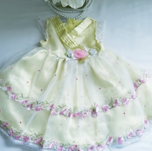 Baby Grand Signature Yellow Embroidered Flower Dress Size 6-9 Months - Picture 3 of 9